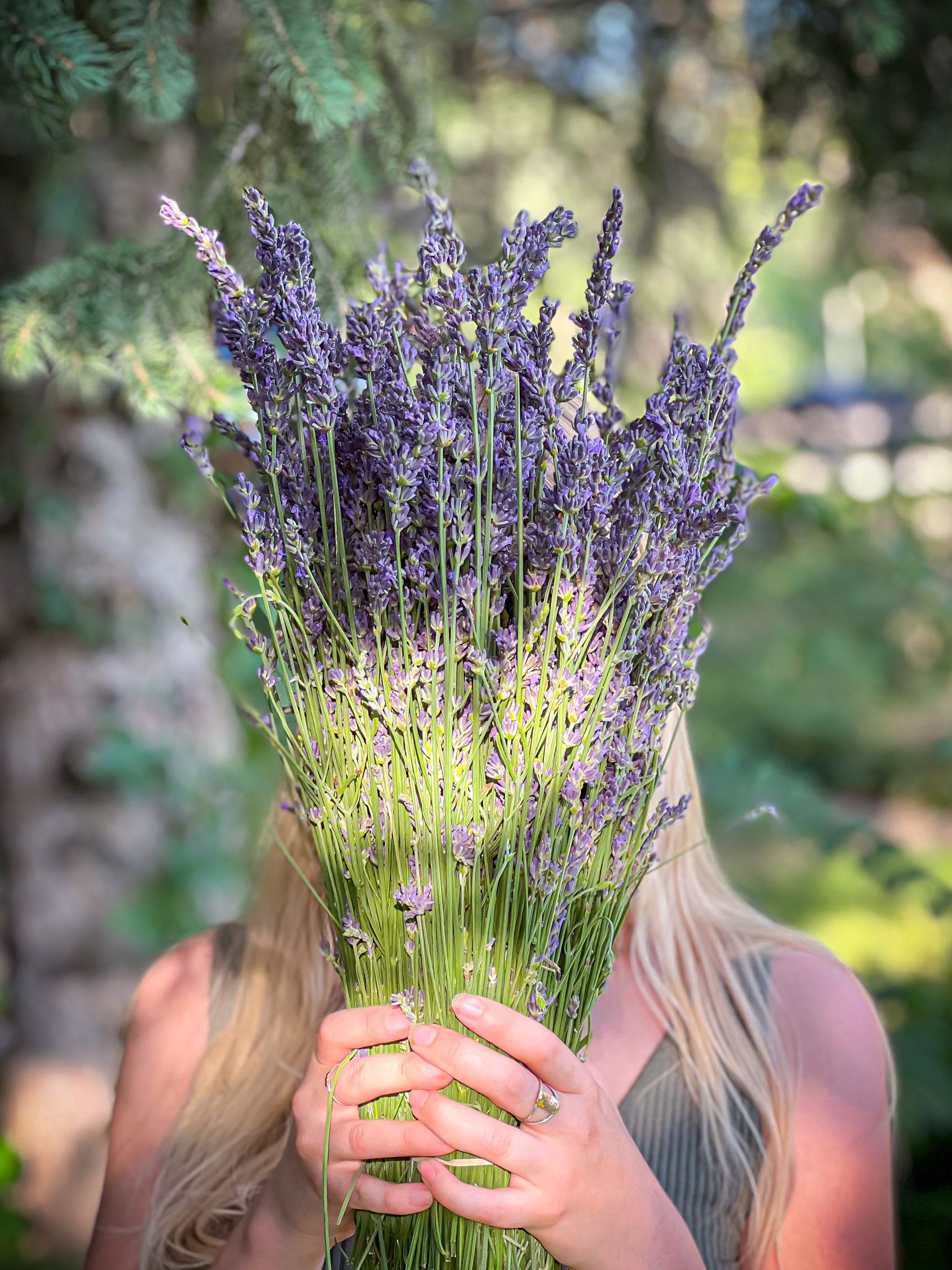 Flowers and Stems